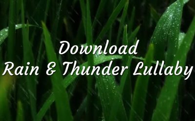 Download Night Night Lullaby Rain & Thunder