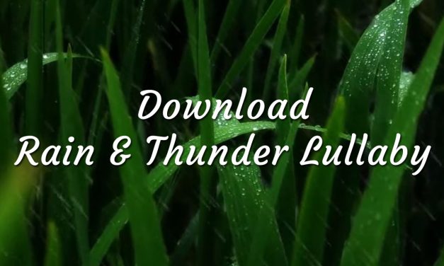 Download Night Night Lullaby Rain & Thunder