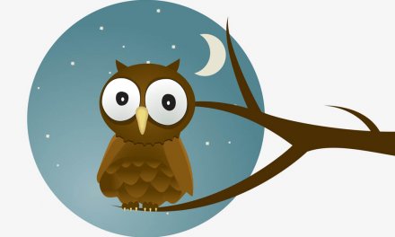 A Wise Old Owl Lyrics