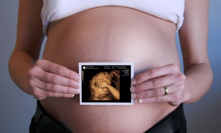Ovulation Calculator