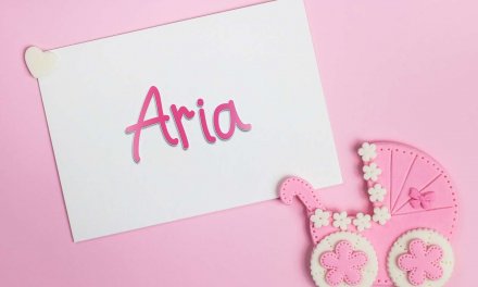 Aria: Girls Baby Name Meaning