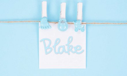 Blake: Boys Baby Name Meaning