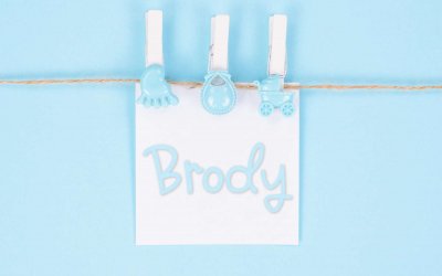 Brody: Boys Baby Name Meaning