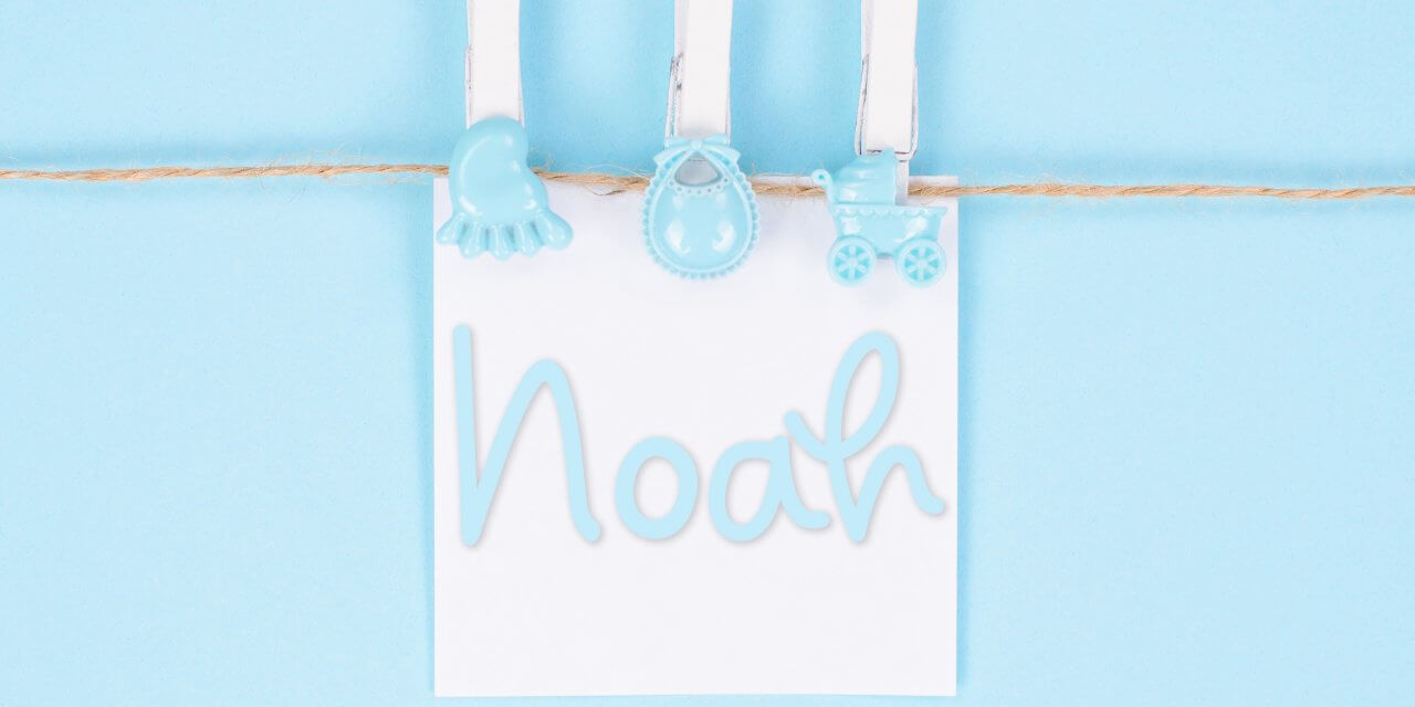 Noah : Boys Baby Name Meaning